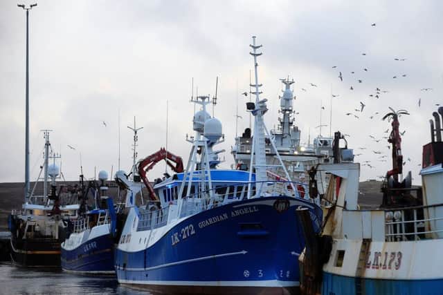 Birds circle above fishing boats and trawlers as they sit moored at Lerwick Harbour in the Shetland Islands. Picture: Andy Buchanan/Getty Images