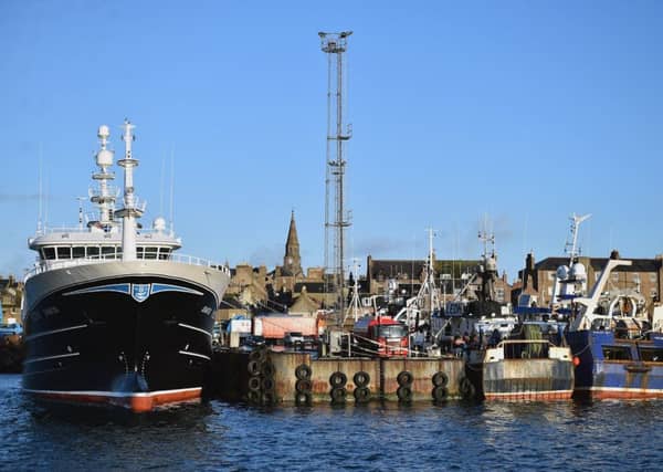 If the UK leaves the EU with no trade deal, exports of fish and meat to the continent could crash as tariffs are imposed (Picture: Getty)