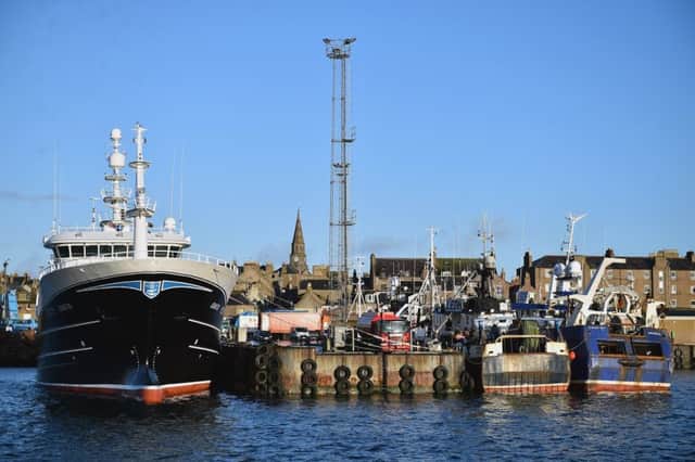 A general view of Peterhead fishing harbour. Picture: Jeff J Mitchell/Getty Images