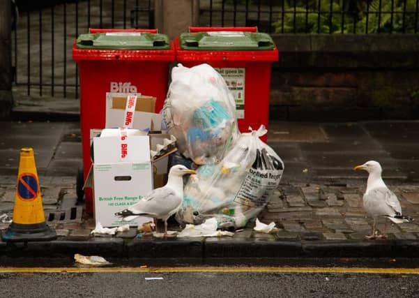 Litter and fly tipping are an increasing concern to many residents.