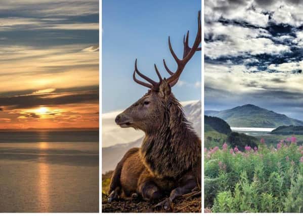 Readers submitted some of their favourite shots from around Scotland. Pictures(left to right): Geogre Neilson, Jeff Daniels, Heather M Scott.