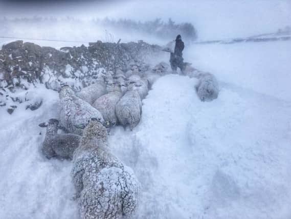 Farmers near Kinross have rushed to help a woman in labour who became trapped in snowy conditions near Kinross