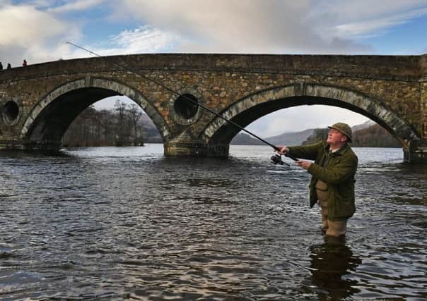 An angler casts from the banks of the Tay. The number of adult salmon returning to Scotland to breed is estimated to have declined by more than 50 per cent since the 1960s. Picture: Jeff J Mitchell/Getty Images