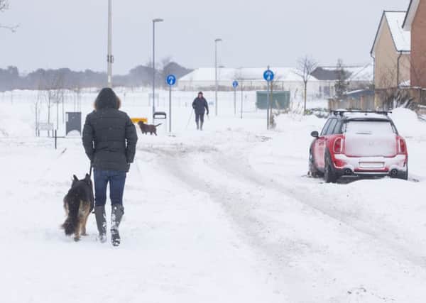 A dog walker braces the snow in Kirkliston, West Lothian. Picture: SWNS