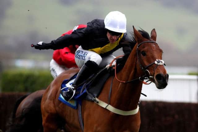 Locally-based Grand National hopeful Seeyouatmidnight will feature in this Sunday's meetings. Picture: Getty Images