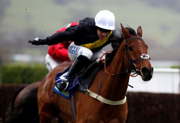 Locally-based Grand National hopeful Seeyouatmidnight will feature in this Sunday's meetings. Picture: Getty Images
