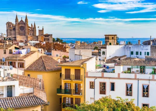 Old town Palma de Mallorca with the famous Cathedral La Seu from Santa Catalina