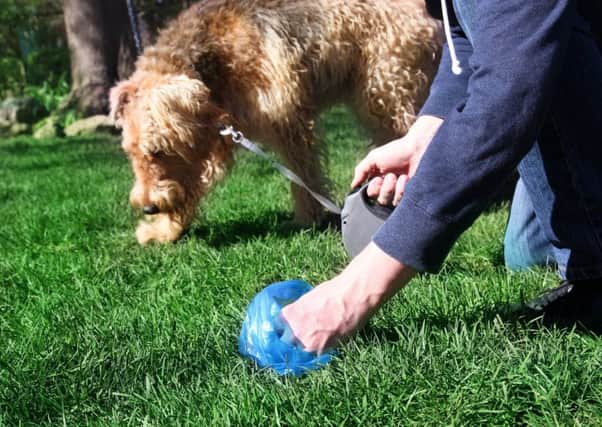 Bagging dog poo is a good thing to do, but only if it is then put in a bin