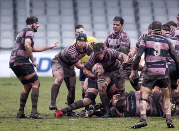 Watsonians v Ayr at Myreside. Picture: Alistair Linford