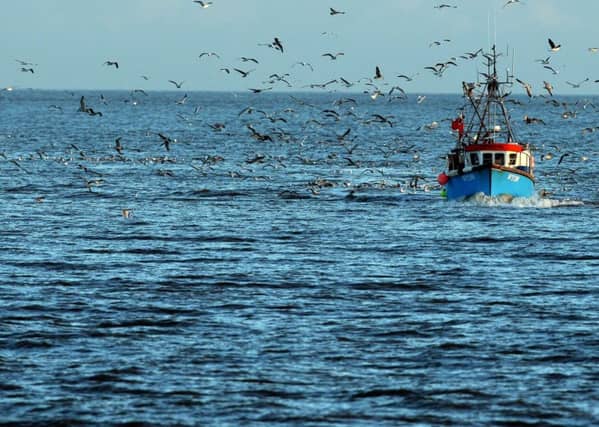 The Scottish Fishermen's Federation (SFF) is demanding an immediate exit from the Common Fisheries Policy in March 2019. File picture: Getty Images