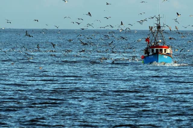 The Scottish Fishermen's Federation (SFF) is demanding an immediate exit from the Common Fisheries Policy in March 2019. File picture: Getty Images