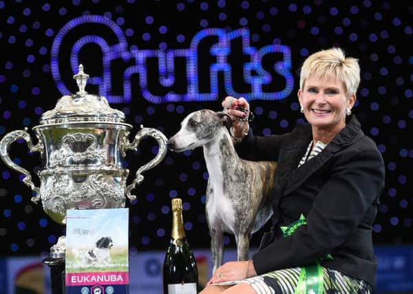 Owner Yvette Short poses with "Collooney Tartan Tease" (Tease), the Whippet. Picture: OLI SCARFF/AFP/Getty