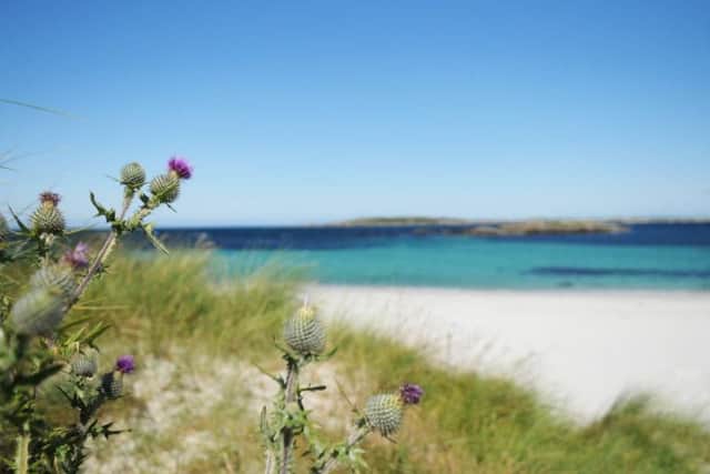 The restaurant in Tiree was named Best Independent Craft Beer Restaurant.