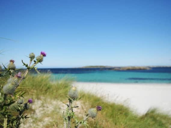 The restaurant in Tiree was named Best Independent Craft Beer Restaurant.