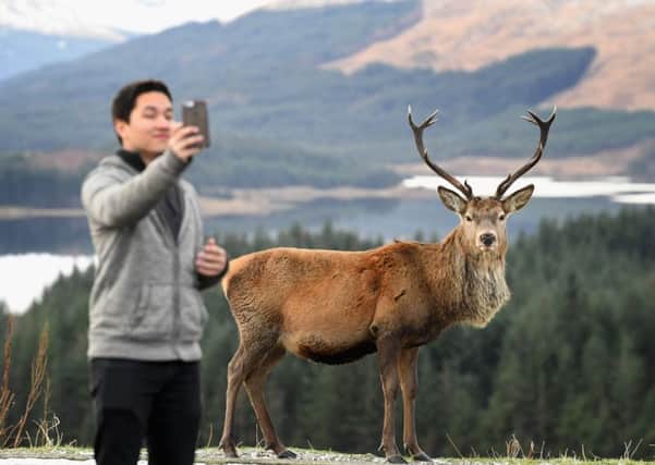 A tourist takes a selfie with a deer in Glen Coe (Picture: Getty)
