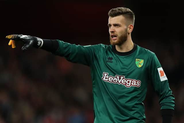 Angus Gunn is currently on loan at Norwich City. Picture: Getty