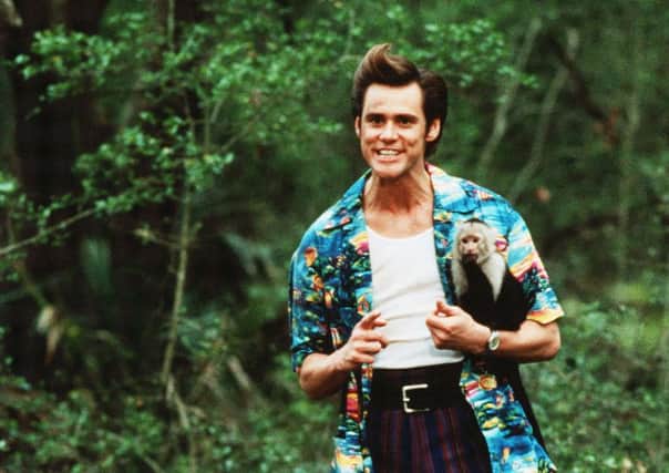 ACE: The most famous Ace in recent years is Jim Carrey's pet detective Ace Ventura. Last year, four more were born in Scotland. Picture: Contributed/ Korbal
