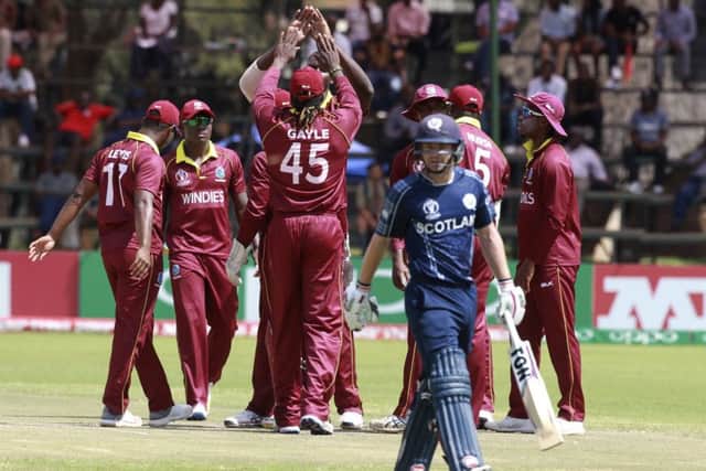 West Indies players celebrate the wicket of Scotland batsman Mathew Cross. Picture: Tsvangirayi Mukwazhi/AP