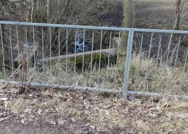 The burn near the junction between Carnbroe Road and Rosebank Road in Bellshill where the horse's head was found. Pic: SSPCA