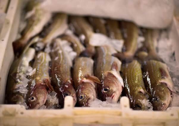 Fish landed at Peterhead harbour, where there is dismay that the UK will remain in the Common Fisheries Policy during the post-Brexit transition period (Picture: Getty)