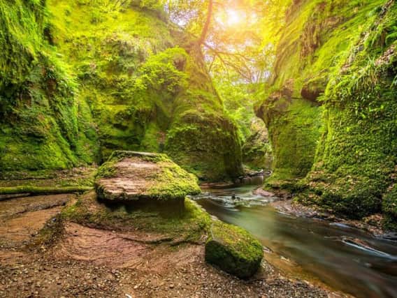 According to local legend Finnich Glen was once visited by the Devil. Fear not though today the steep-sided glen is merely the perfect destination for a spring walk.