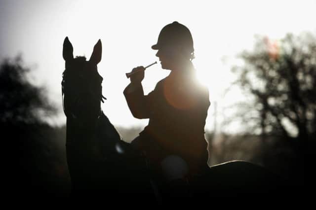 Trevor Adams, hunt master of The Buccleuch Hunt, rounds up his hounds during fox pest control in Selkirk, Scotland. Picture: Christopher Furlong/Getty Images