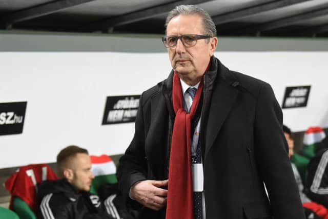 Georges Leekens can see parallels between the fortunes of his homeland Belguim and Scotland.