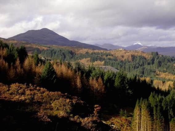 The public has been given the right to roam through Drumlean estate, which lies in the Loch Lomond and the Trossachs national park