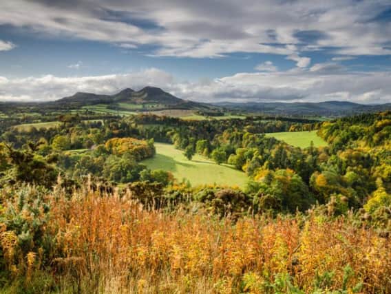 The Eildon Hills path is a short but challenging walk for those with intermediate experience