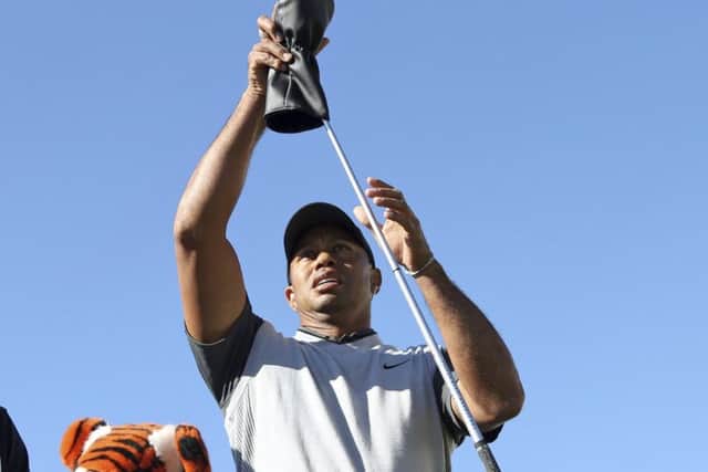 Roaring back: Tiger Woods has been posting some good scores recently. Picture: AP.
