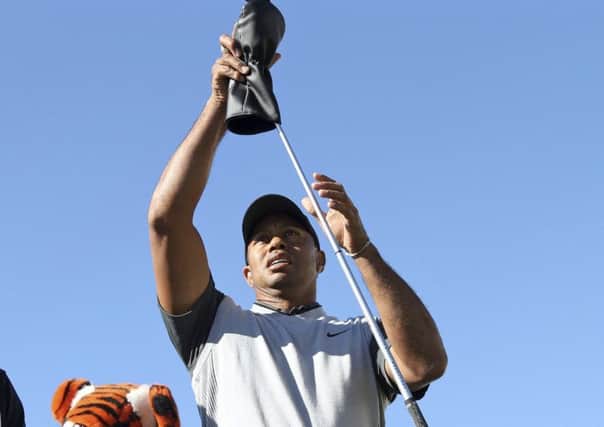 Roaring back: Tiger Woods has been posting some good scores recently. Picture: AP.