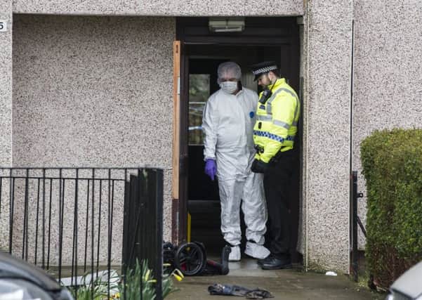 Police and forensics at the scene of the disturbance. Pic: John Devlin