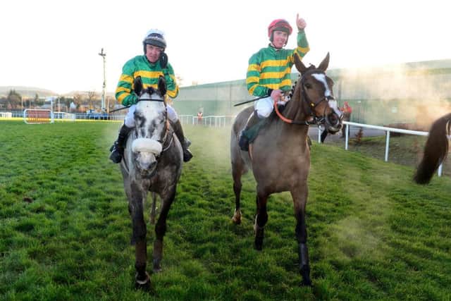 Ridden by Donagh Meyler, Anibale Fly, right, won the Paddy Power Chase at Leopardstown in December. Picture: PA.