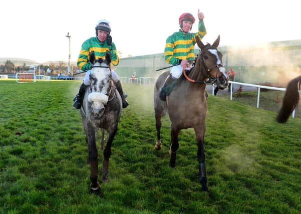 Ridden by Donagh Meyler, Anibale Fly, right, won the Paddy Power Chase at Leopardstown in December. Picture: PA.