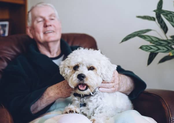 Pets, like this Shih Tzu dog, can have beneficial effects on health and quality of life