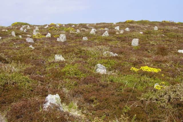The Hill o Many Stones in Caithness which is made up of 200 individual stones. PIC: Dr K Brophy.