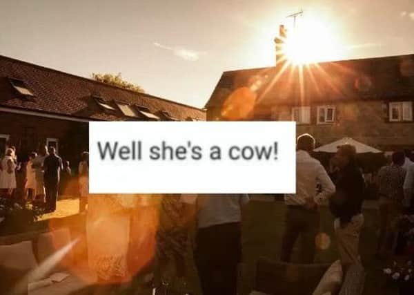 The Mulberry Tree has been forced to apologise after accidently calling a bride-to-be a 'cow'.