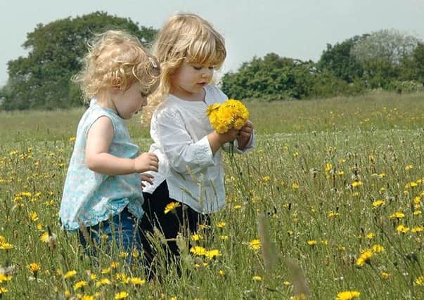 Conservation charity Plantlife has created a list of 12 wild flower species that are safe to pick, to encourage the next generation to engage with nature