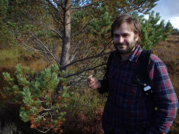 Jacob Whitson, from Chaos Fungorum, said: Mycorrhizal fungi are one of our greatest allies for reforesting degraded landscapes