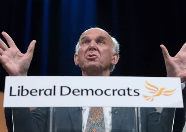 Leader of the Liberal Democrats Vince Cable. Picture: Matt Cardy/Getty Images