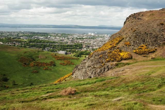 The neon paint is being used to deter lazy dog owners in Holyrood Park. PIC: Getty.