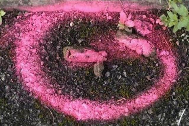 Rangers at Holyrood Park have been spraying dog poo pink