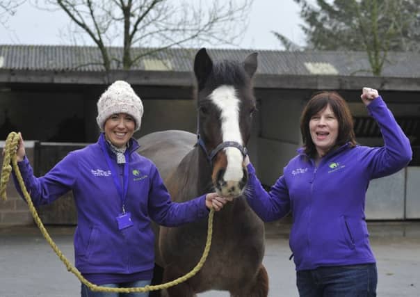 Lesley Hogg and Mags Powell from Stable Life with Toffee the horse at Dryden Farm.