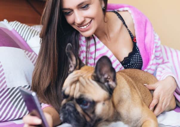 The internet is full of pictures of photogenic pets. Picture: Getty/iStockphoto