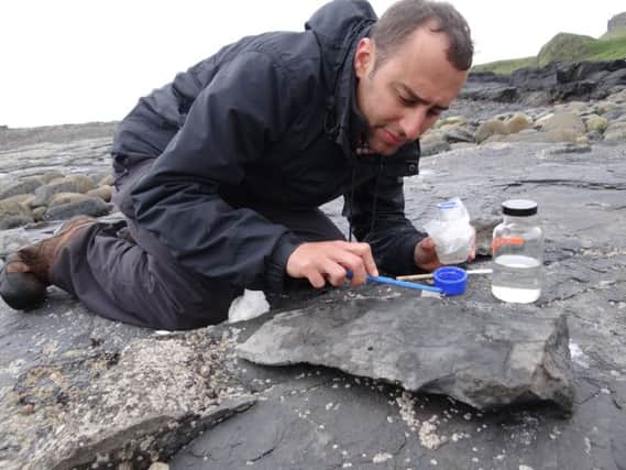 Palaeontologist Steve Brusatte travels the world from his base at Edinburgh University to learn more about dinosaurs.