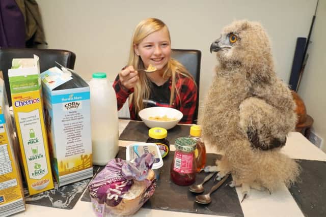 Benedict, the European eagle owl chick from Blair Drummond Safari Park near Stirling, at the home of keeper Dave Warren, with his niece Keetah Boulton. Picture: Andrew Milligan/PA Wire