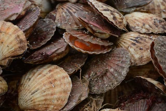 Dozens of Gaelic names for Scottish shellfish have been published. Picture: Johnston Press