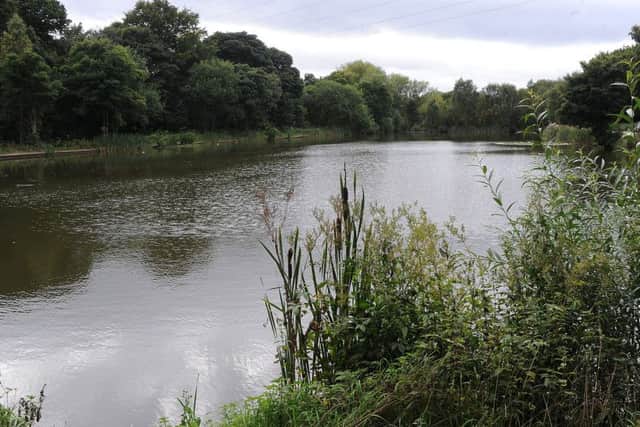 Severn Trent have been fined after sewage leaked into Bramley Pond killing dozens of fish. Picture: Andrew Roe