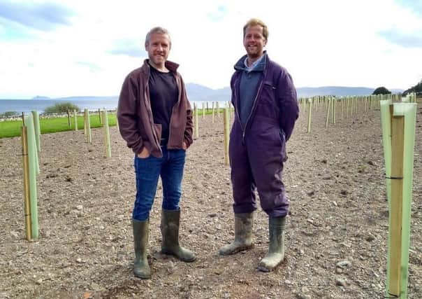 Dr Paul Thomas and Ian Dickson of Scalpsie Farm at the truffle plantation.
