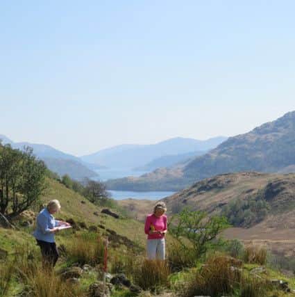 Archaeologists at a deserted settlement overlooking Loch Lomond. PIC: Heather James/Calluna Archaeology.